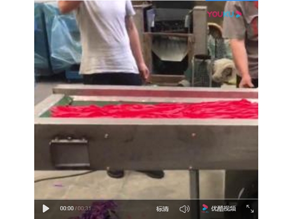 紙張連續兩次剪切視頻